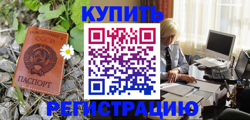 временная регистрация поиск в Кудрово